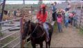 dr dolittle 3-avi_1000_168.jpg